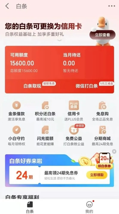 白条额度可以套出来吗？