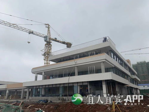 京东白条套出卡西欧，这些操作细节你得懂！