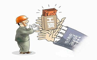 追回失物，守护正义—关于追回失物的故事与思考