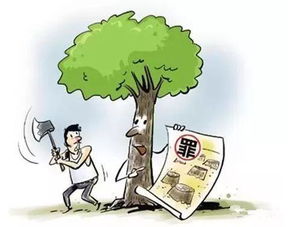 追回失物，守护正义—关于追回失物的故事与思考