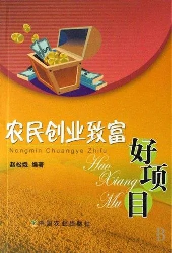 致富中华，一个深入人心的富民项目解析