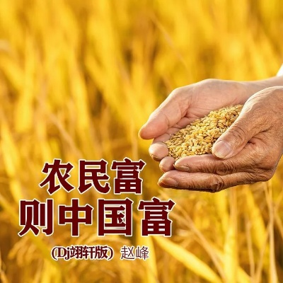 致富中华，一个深入人心的富民项目解析