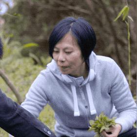 在咸丰做什么生意赚钱？看这里给你分析分析