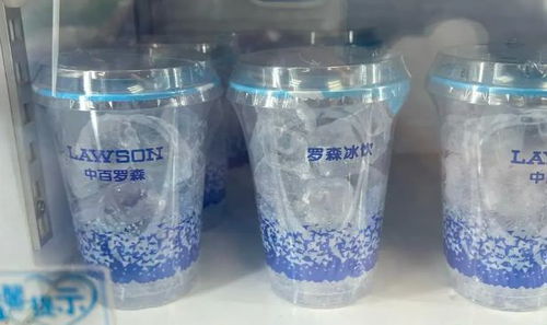 夏季户外杯子品牌选择指南