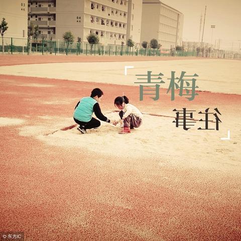 揭秘微信聊天记录查询与隐私监控，如何操作及注意事项