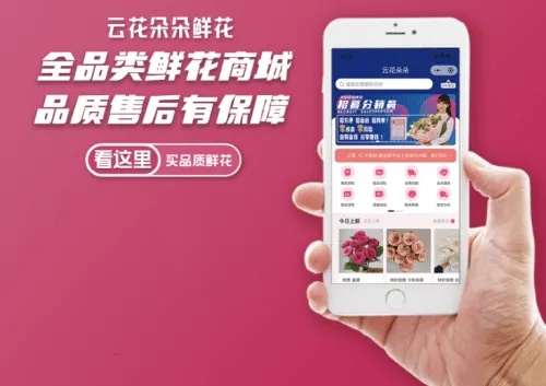 昆明微店放心花套，真相揭秘与实用指南