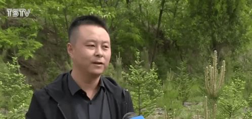 揭秘广州白条实体店套现攻略，如何安全高效地操作？