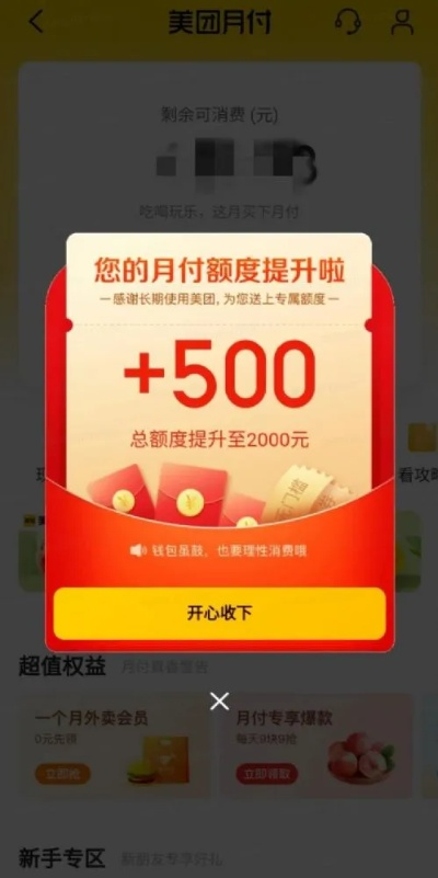 美团月付提现额度攻略，实用指南与案例解析