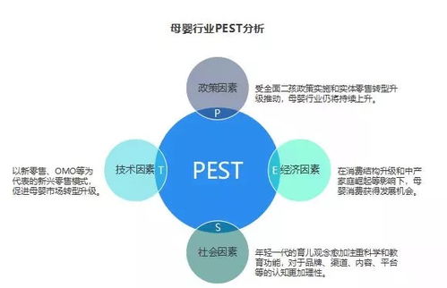 探索母婴市场的多样化选择