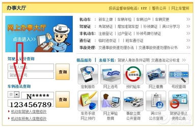 羊小咩便荔卡提现那些事儿，揭秘提现处理流程及常见问题