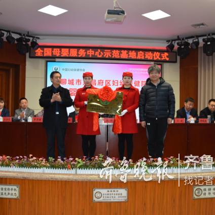 聊城母婴品牌，品质与创新的结晶