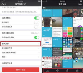 揭秘iPhone版陌陌聊天记录，那些隐藏在指尖的秘密