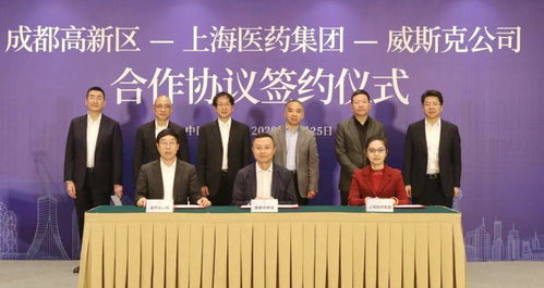 打造医药品牌合作新纪元—策略与案例解析
