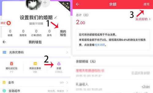 鹿优选额度提现与标准额度详解