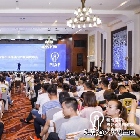 母婴品牌dha的全面解析与实用指南