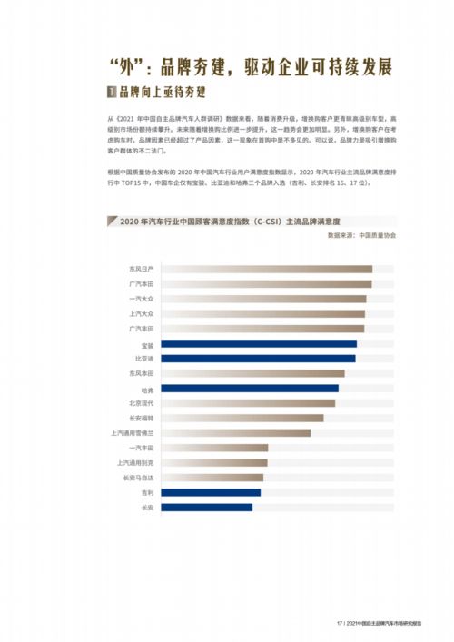 汽车品牌调研报告