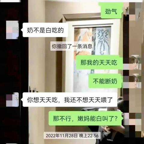 怎样查看已经删除的聊天记录？实用指南与案例分析