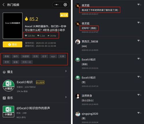 揭秘24小时抖音月付风控提现，操作指南与案例分析