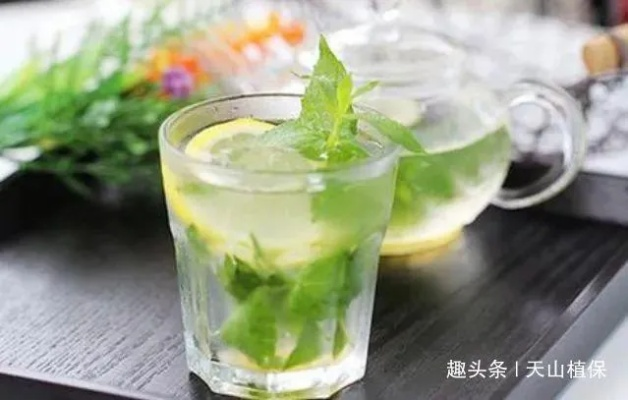 什么草好喝又致富？带你探索草本饮品的新天地