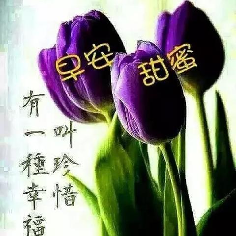 揭秘微信聊天记录删除后的查询方法，让你找回那些珍贵的回忆！