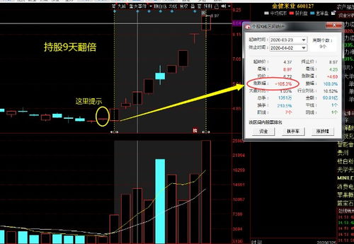 什么股票可以投资致富？解读潜力股的选择逻辑与案例