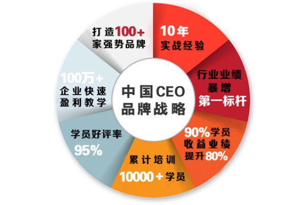 母婴品牌CEO的五大战略