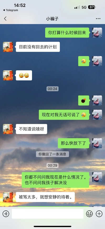 聊聊聊天记录，揭秘如何正确看待和使用聊天记录