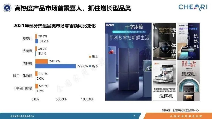 2021家电品牌总经理的年度工作总结与展望
