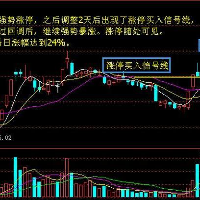 朋友公司该如何选择业务方向实现盈利增长？看这些热门行业与成功案例
