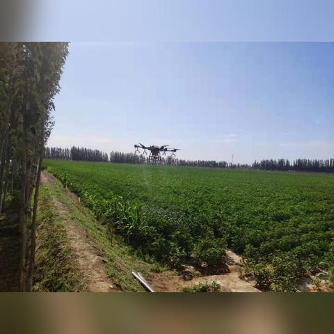 新疆特色生意赚钱攻略，热门商机与成功案例剖析