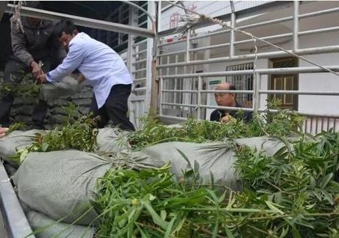 在菜园做什么生意赚钱？看我一一揭秘