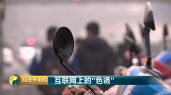 揭秘网络黑客的联系方式，风险警示与案例分析