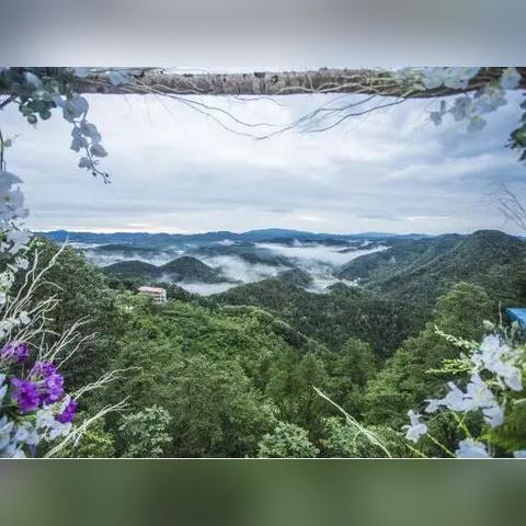 广元抖音月付提现攻略，揭秘月付提现的真相与案例分享