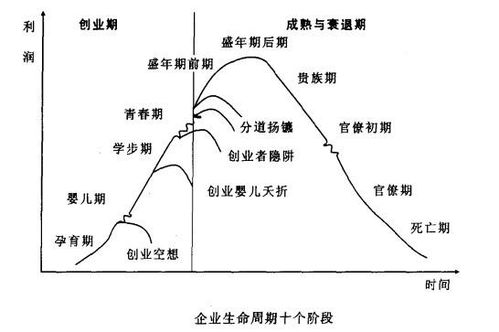 企业生命周期创业阶段详解