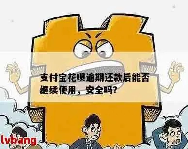同程花呗套现全攻略，安全、便捷还是风险？