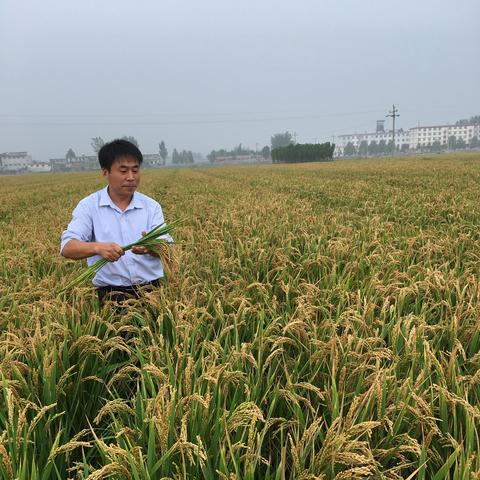 什么项目致富快？六大热门项目深度解析！