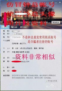 如何高效查询QQ聊天记录—实用技巧与案例分析
