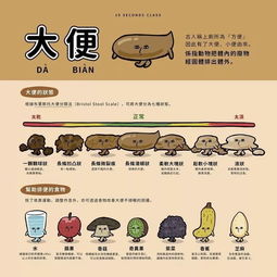 揭秘羊小咩便荔卡提现比例，揭秘背后的秘密与案例分享