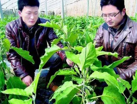 2015年，学什么技术能致富？
