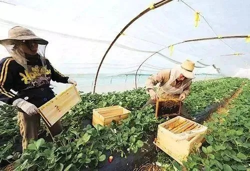 2015年，学什么技术能致富？