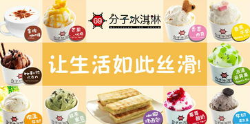 如何加盟冰激凌品牌店项目？全面解析加盟流程与要点