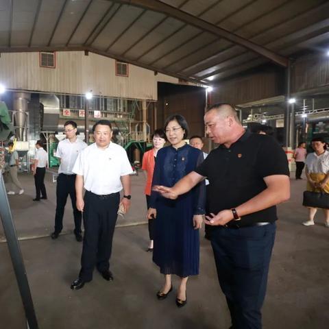致富城在嘉兴的哪个街道？深度解读其地理位置与成功案例
