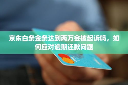 北京提现京东白条，详细指南与实用技巧