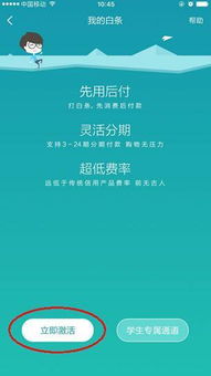 北京提现京东白条，详细指南与实用技巧
