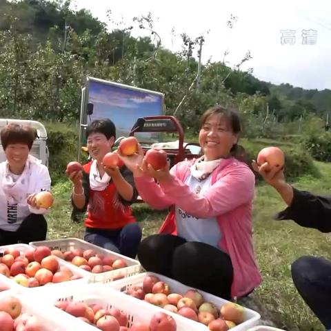 2015学什么好致富？跟着趋势走，技能成就未来