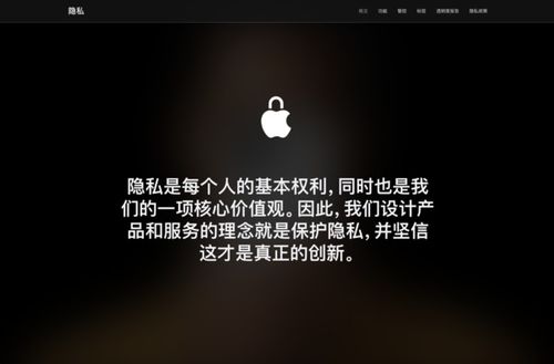掌握实时监控技巧，保护隐私同时了解他人动态