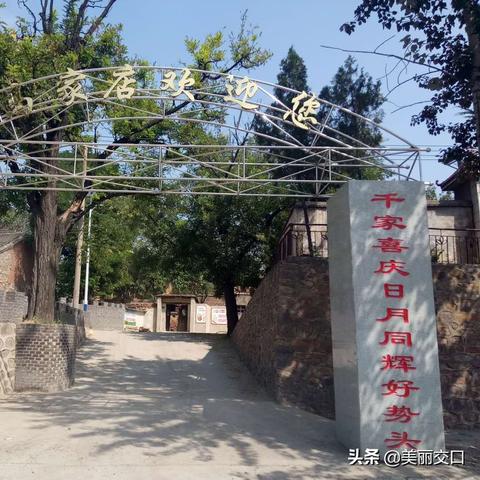 村里种什么致富快？看我一一道来