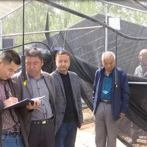 村里种什么致富快？看我一一道来