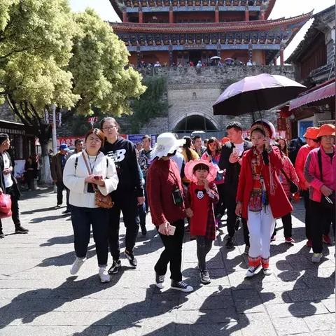 三亚导游如何赚钱，深度解析与实用案例