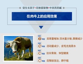 羊小咩便荔卡提现，轻松解决付款难题，案例分享告诉你怎么用！
